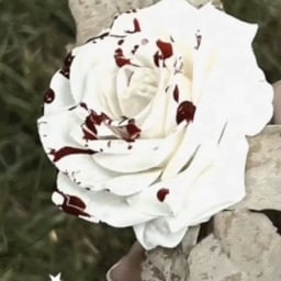 Voz Masculina Profunda e Expressiva