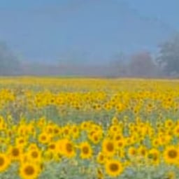 भावुक हिंदी गायिका