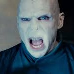 Blacklotus Voldemort