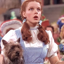 Dororhy Gale (Judy Garland)