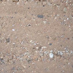 Voz Conversacional Juvenil