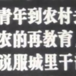 黑白老电影独白