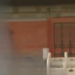 真正版雍正老十