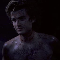 Steve Harrington PT br