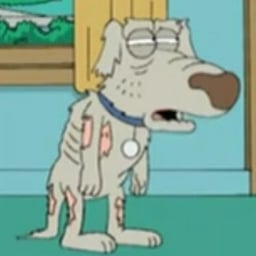 Todd Griffin (Family Guy)