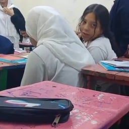 حنطور الجحش