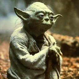Maestro Yoda
