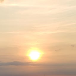 Confident Urban Voice