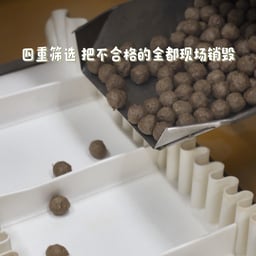 潮汕牛肉丸口音