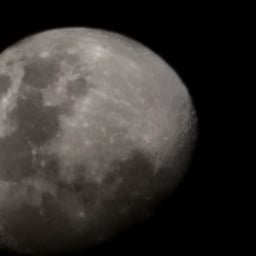 راوي عربي هادئ