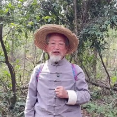 0318-棕竹深山老头