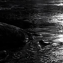 Voz Dramática Expresiva