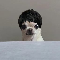 เสียงเล่าเรื่องอาหารโลก