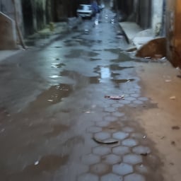 صوت عربي ودود