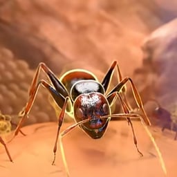 Measured Male Narrator