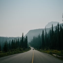 Confident Male Speaker