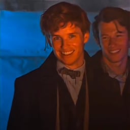 Newt scamander