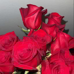 بنت بتكلم عربي