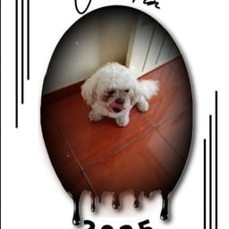 Friendly Spanish Narrator.123