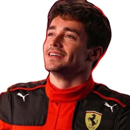 Joyful Event Narrator