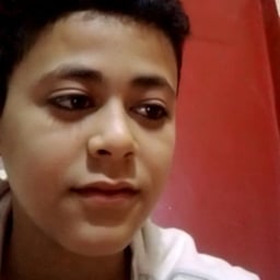 عمر فتحي نجيب 