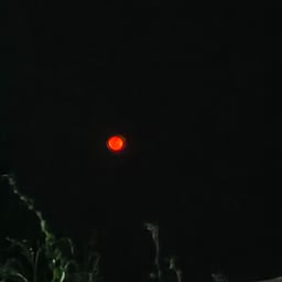 Energetic Contest Host