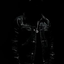 Vriendelijke Nederlandse Stem