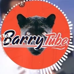 باري تيوب