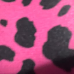 Casual Female Speaker