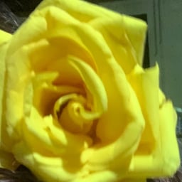 Voz Femenina Conversacional