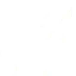 Locutor de Fantasias Animadas de Ayer y Hoy