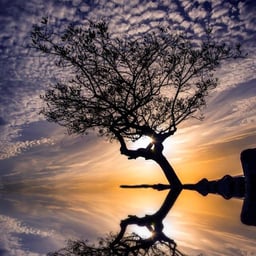 Voz Conversacional Amistosa