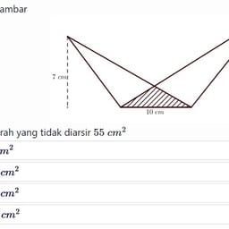 Wanita Indonesia Jernih
