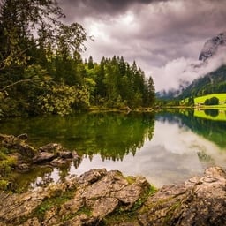 Харизматичный Голос