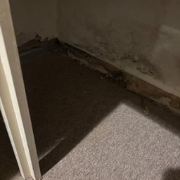 Voz Amigable y Conversadora