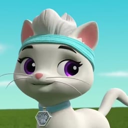 Rory (PAW Patrol)