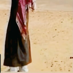 قبيليه من قبايل 