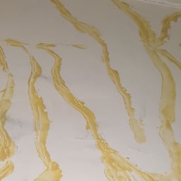 Energetic Female Announcer