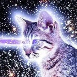 Expressive Young Female