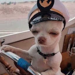 Heartfelt Male Voice