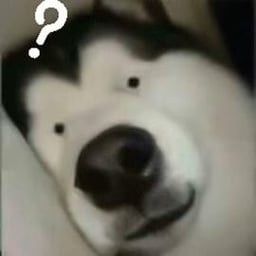 再再再试试东北音