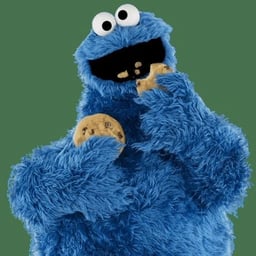 Cookie Monster (David rudman)