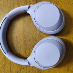 Mepg International Voice