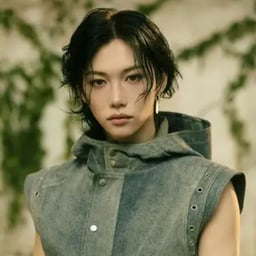 Felix stray kids voz1