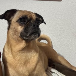 Ritmo Latino Enérgico