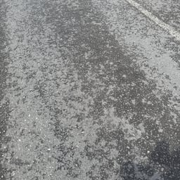 Выразительный Женский 