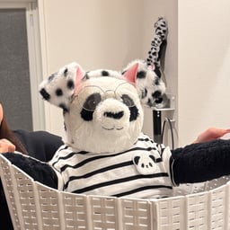 悪口パンちゃん