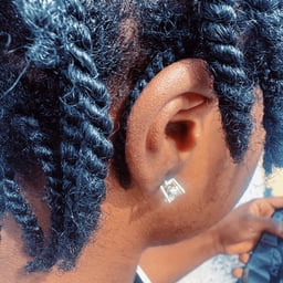 Clear Presentation Voice