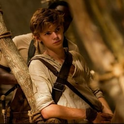 Newt (Maze runner)