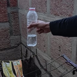 صوت عربي ودود